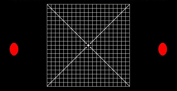 Amsler Grid Eye Chart